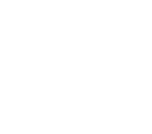 Social enterprise council logo